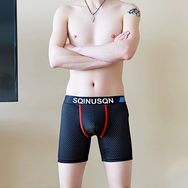 سراويل داخلية رجالية من قماش ا - مراجعة Mesh Sport Boxer وسعره